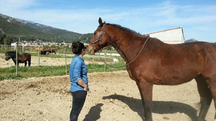 Photo de profil de mariel
