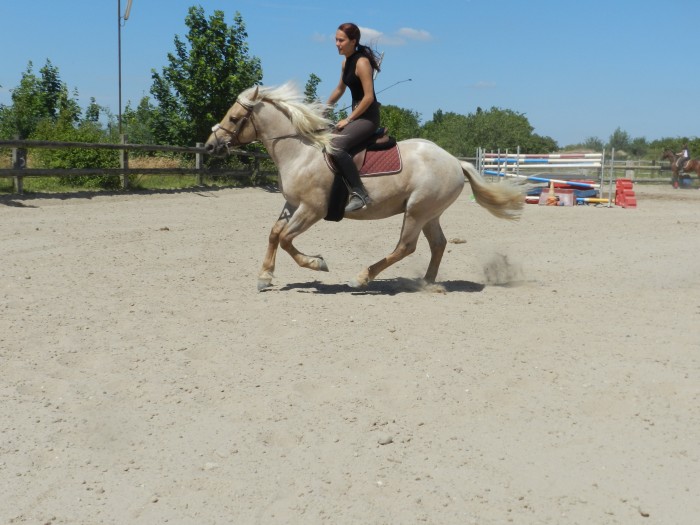 Photo de profil de marine.borsa