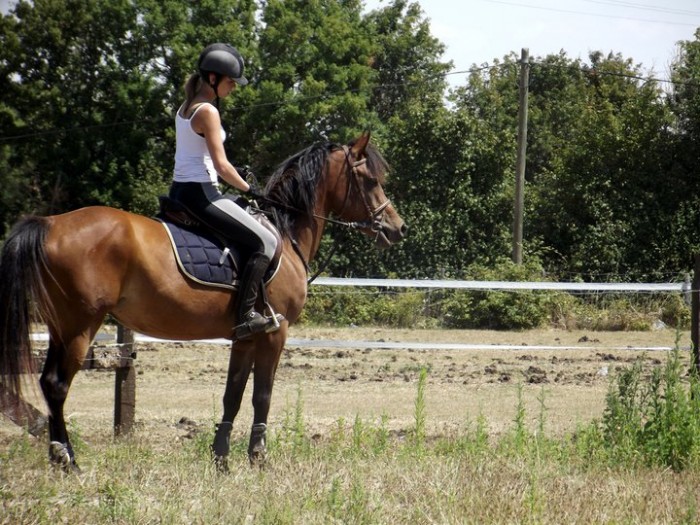 Photo de profil de mariondbt