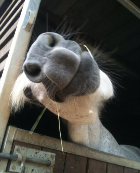 Photo de profil de marion.kekou