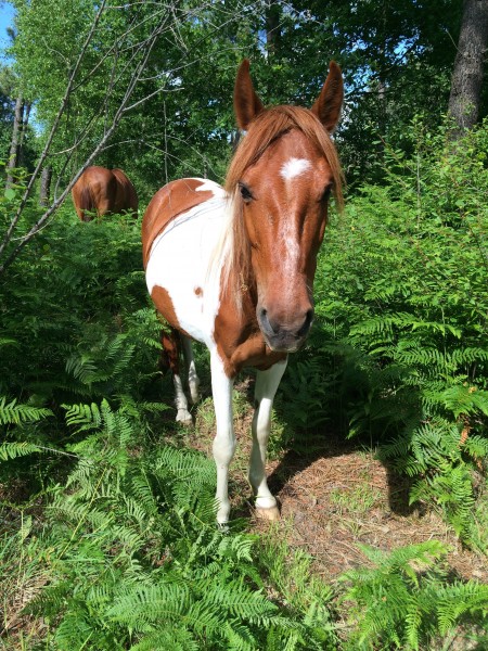 Photo de profil de mariontina