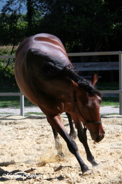 Photo de profil de marlenebarbat