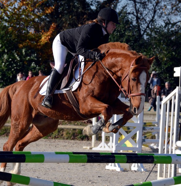 Photo de profil de marlene.piau