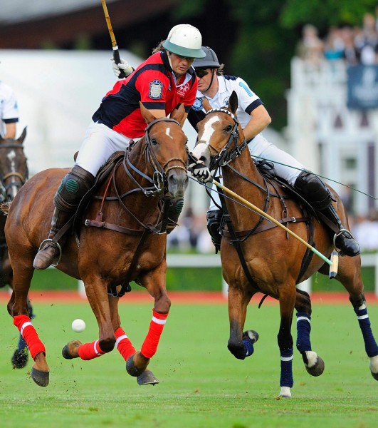 Photo de profil de marvin98