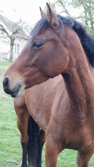 Photo de profil de marysam