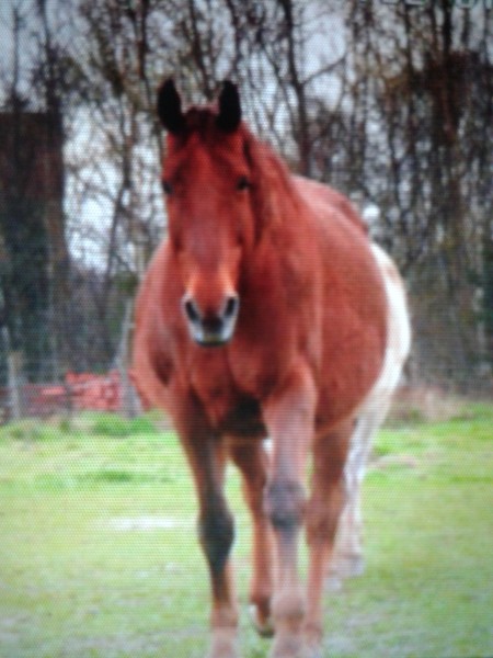 Photo de profil de masson.marie