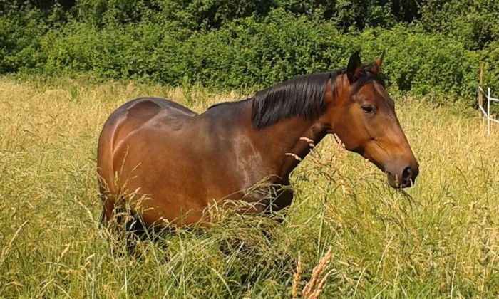 Photo de profil de maudi69