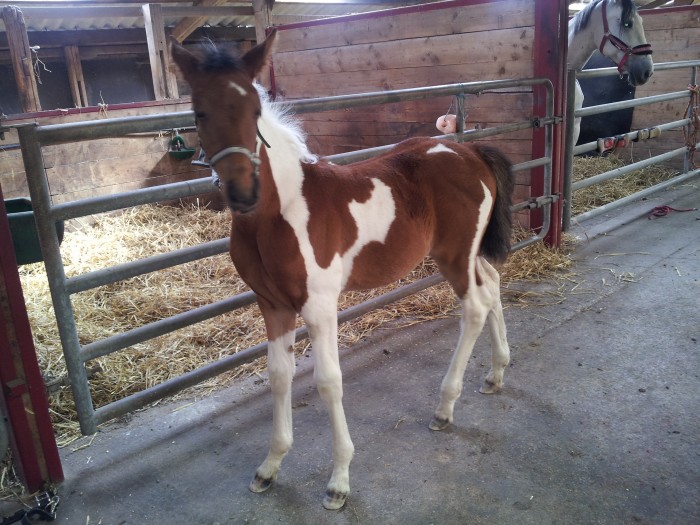 Photo de profil de mbru