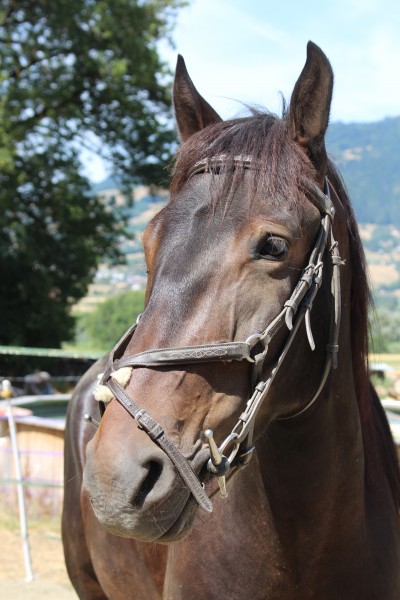 Photo de profil de mc74