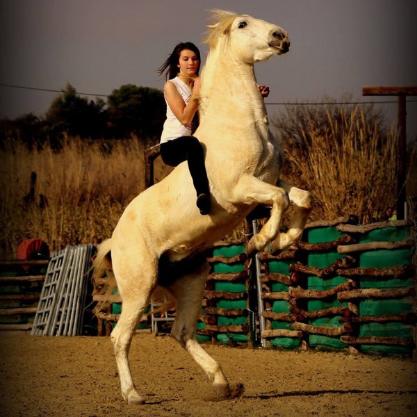 Photo de profil de mdal