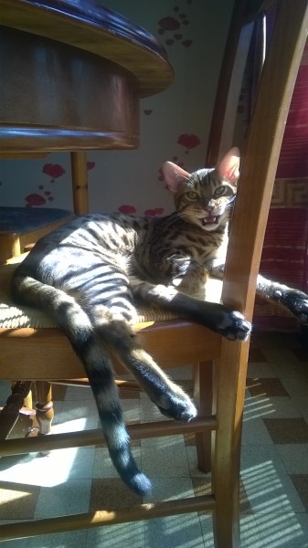 Photo de profil de melindou69tkt