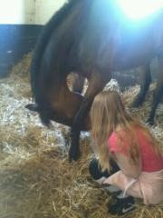 Photo de profil de melissa2000