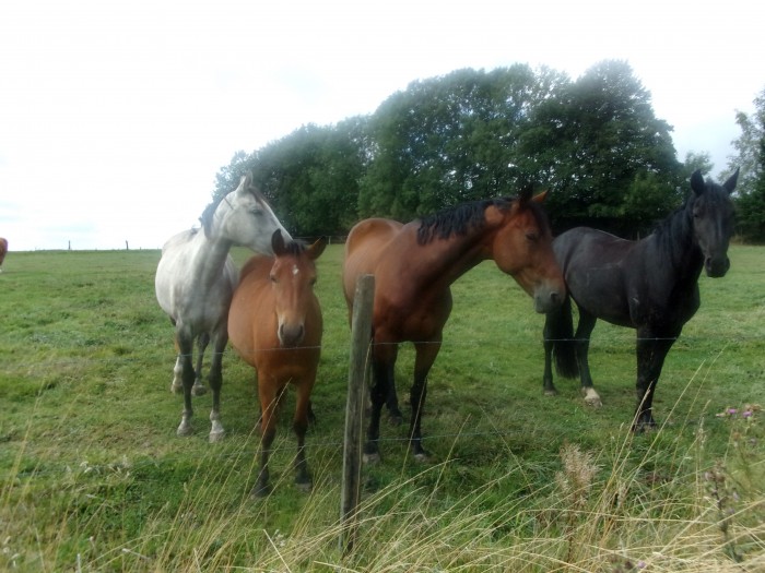 Photo de profil de melissaaa