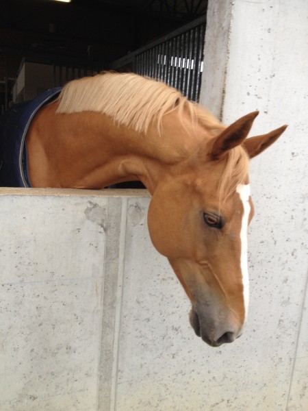 Photo de profil de melo.catta