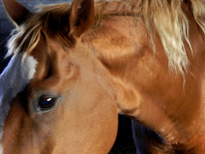 Photo de profil de melomistake