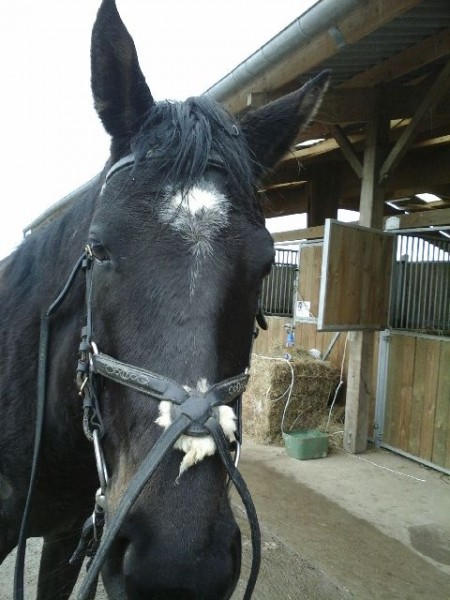 Photo de profil de memem