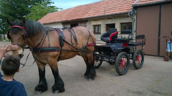 Photo de profil de michaeletceline