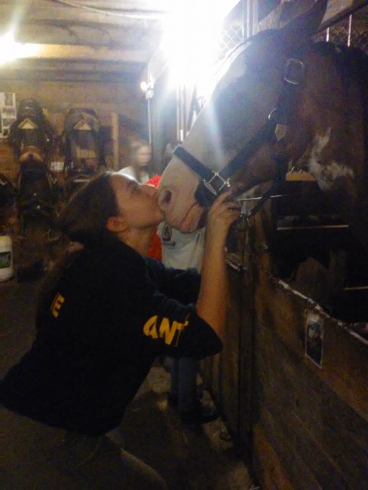 Photo de profil de mimi._.cheval
