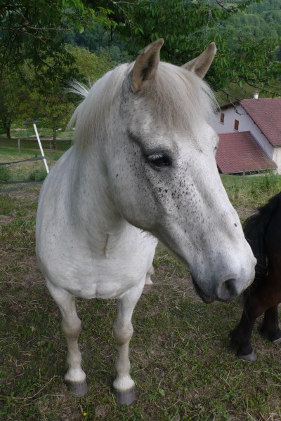 Photo de profil de mimigribouillon