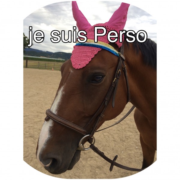 Photo de profil de mimiperso