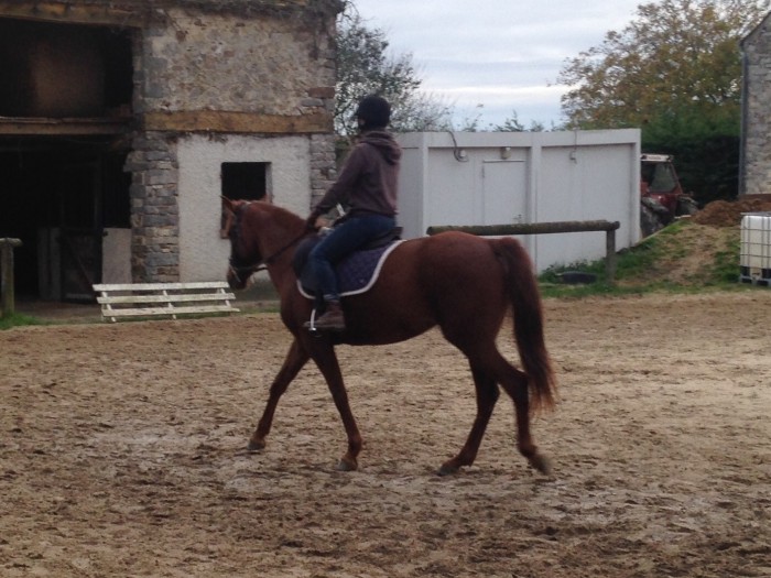 Photo de profil de mimix