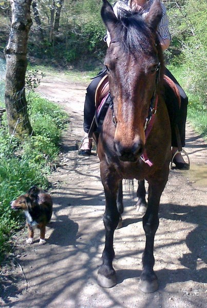 Photo de profil de moietgalinette