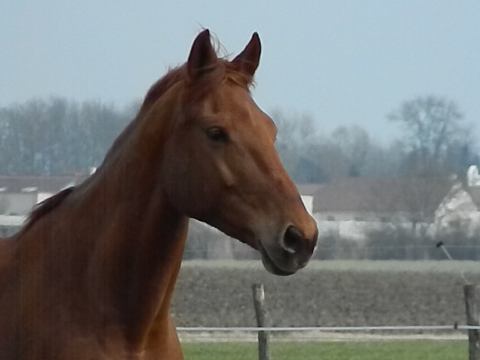 Photo de profil de montane