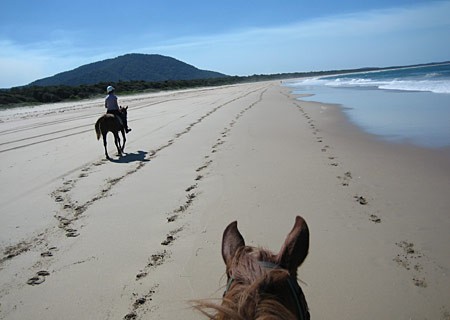 Photo de profil de mooloolaba