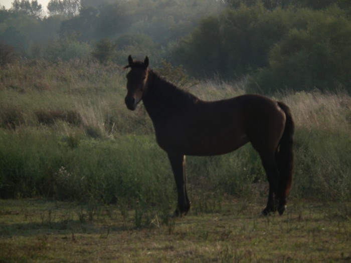 Photo de profil de mumuoleron