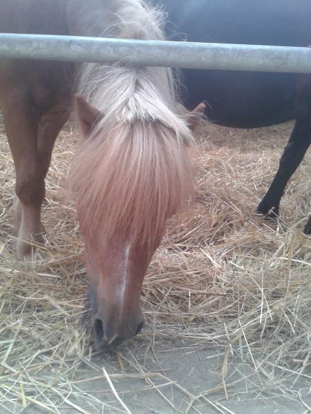 Photo de profil de musiquetruquer