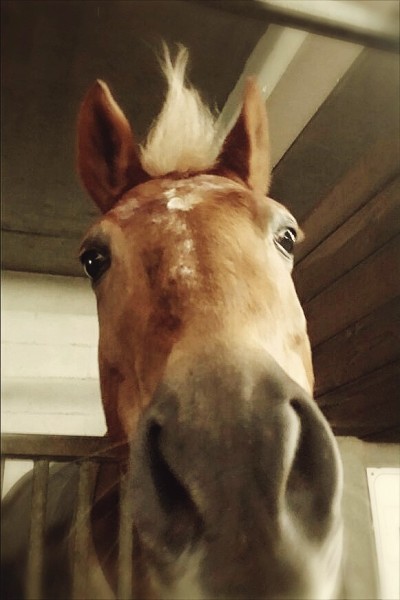 Photo de profil de mymy02