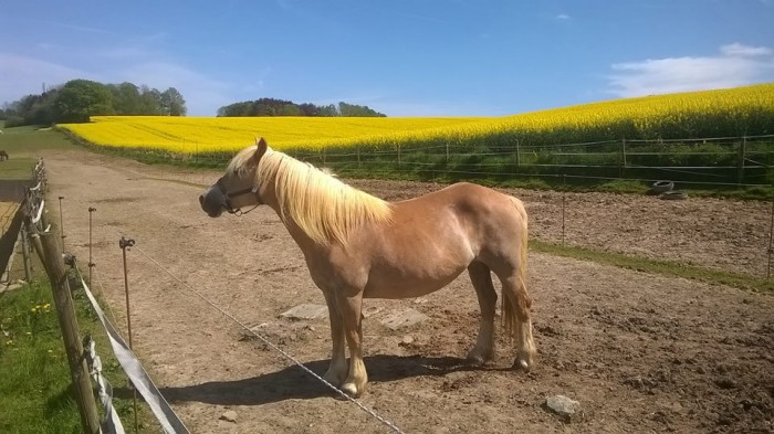 Photo de profil de nanoumartin