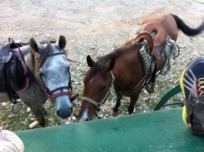 Photo de profil de nelenedesbois