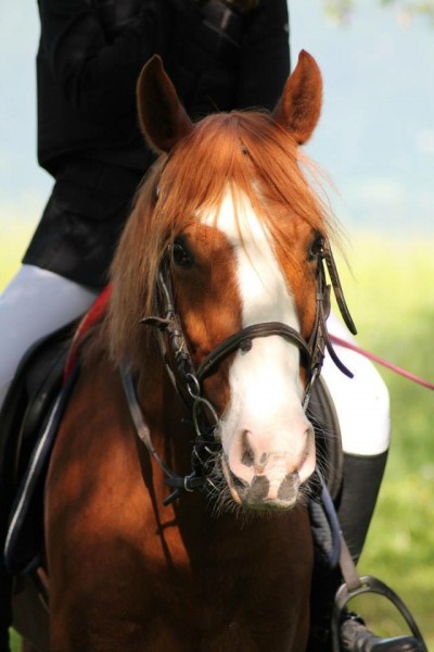 Photo de profil de nerox