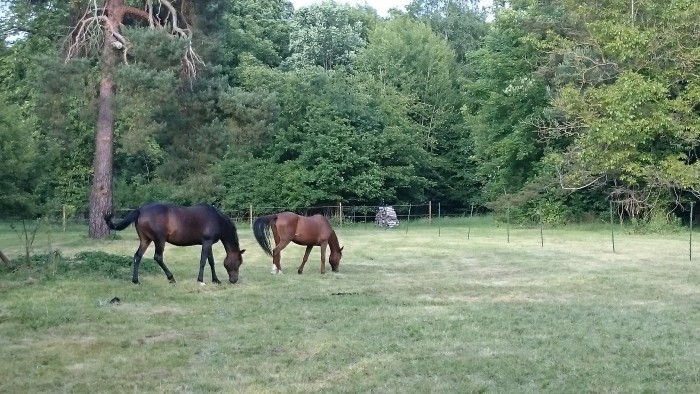 Photo de profil de nicolasjouandet