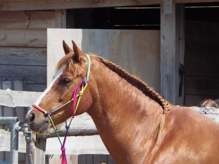 Photo de profil de ninou.petitchou