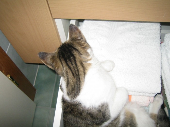 Photo de profil de noranne68