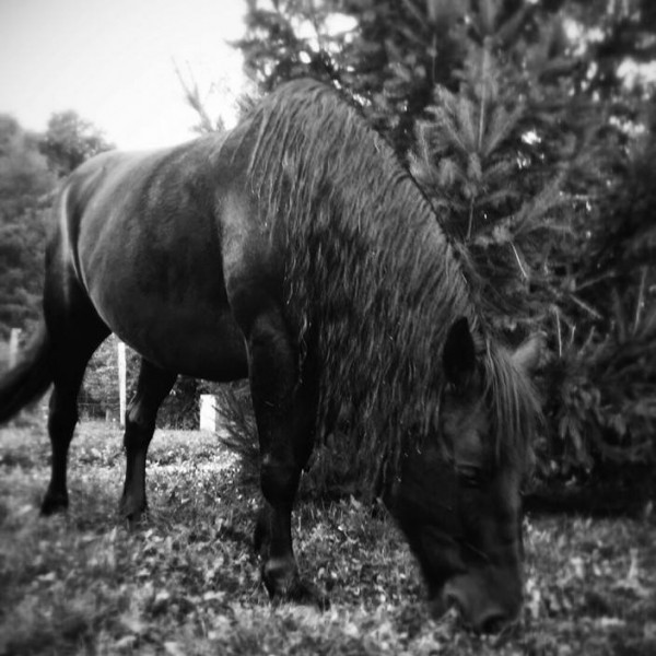 Photo de profil de o0tiamo0o