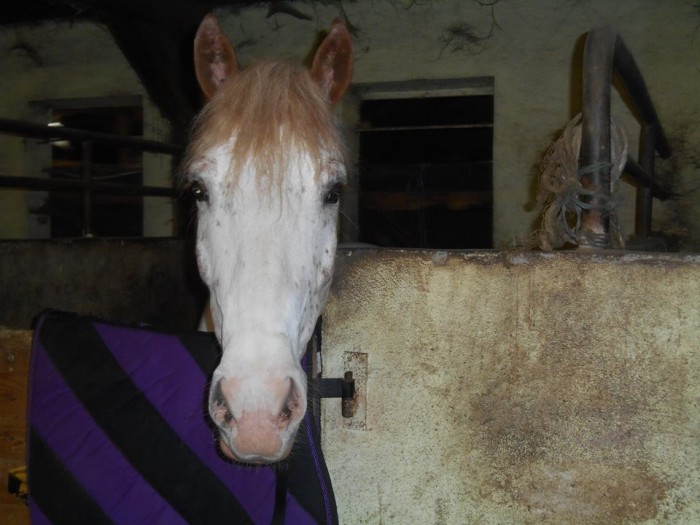 Photo de profil de oceane07
