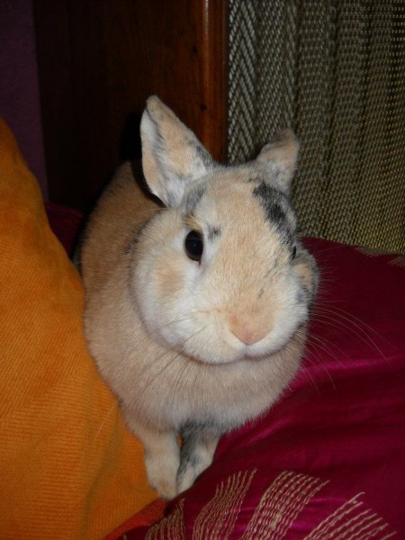 Photo de profil de oceane9180