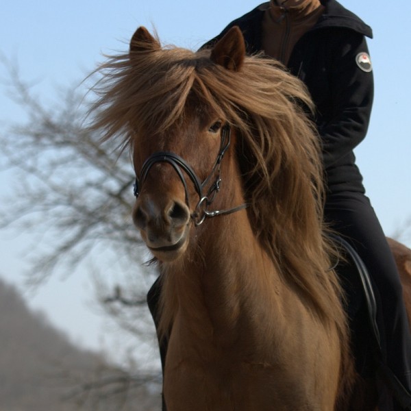 Photo de profil de odinfinistere