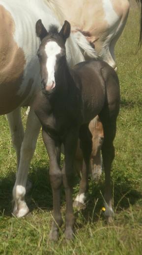 Photo de profil de oki70
