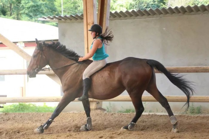 Photo de profil de oraure
