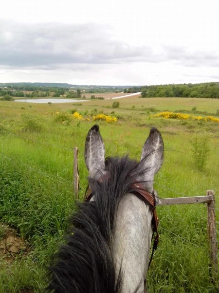 Photo de profil de orpheo88