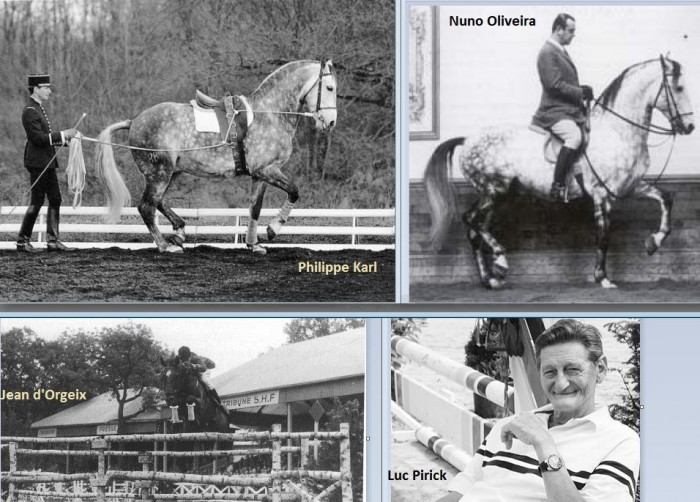 Photo de profil de ory_anne