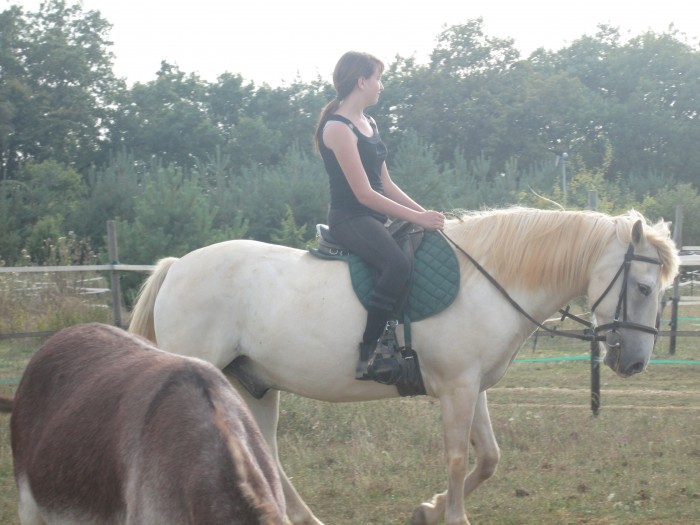 Photo de profil de oscar.nounours