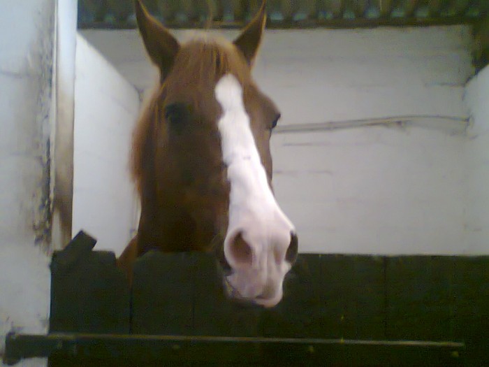 Photo de profil de palahia