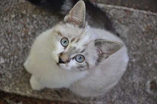 Photo de profil de patchounette