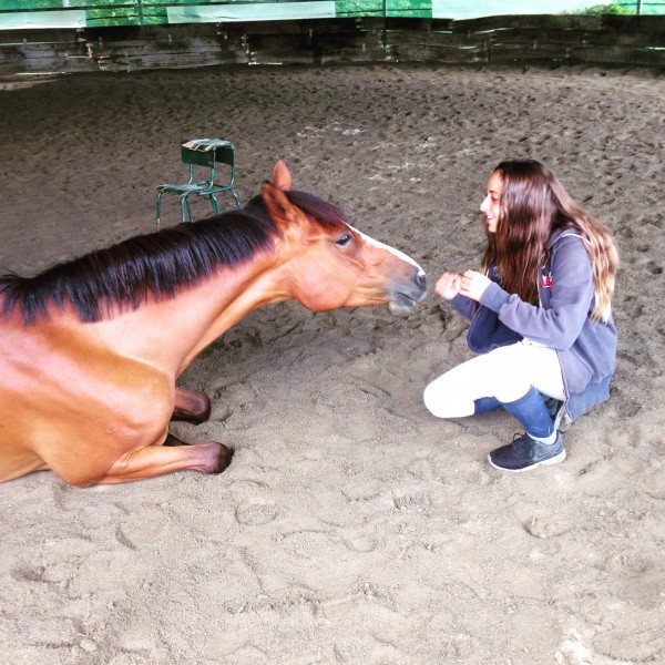 Photo de profil de paulinechabs
