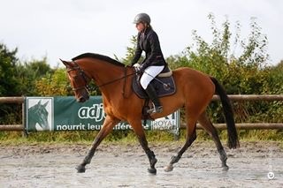 Photo de profil de pdavelot